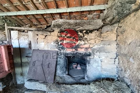 Farm i Penedono, Viseu, Penedono - € 90.000 | Ref: 1756 - foto 18