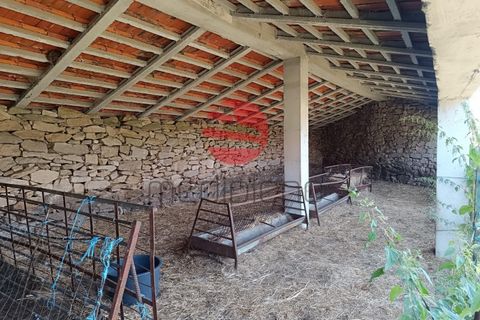 Farm i Penedono, Viseu, Penedono - € 90.000 | Ref: 1756 - foto 19