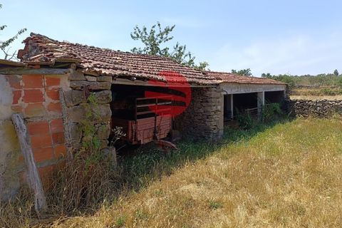 Farm i Penedono, Viseu, Penedono - € 90.000 | Ref: 1756 - foto 20