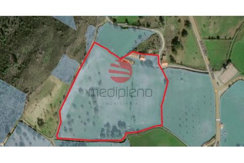 Farm i Penedono, Viseu, Penedono - € 90.000 | Ref: 1756 - foto 21