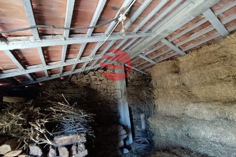 Farm i Penedono, Viseu, Penedono - € 90.000 | Ref: 1756 - foto 22