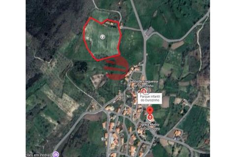 Farm i Penedono, Viseu, Penedono - € 90.000 | Ref: 1756 - foto 23