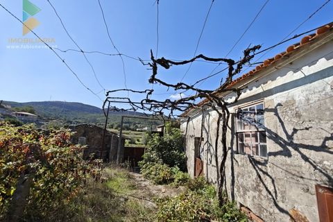 Villa i Ponte de Lima, Viana do Castelo, Ponte de Lima - € 165.000 | Ref: PTL-001-128 - foto 3