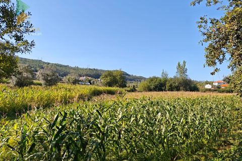 Villa i Ponte de Lima, Viana do Castelo, Ponte de Lima - € 165.000 | Ref: PTL-001-128 - foto 7