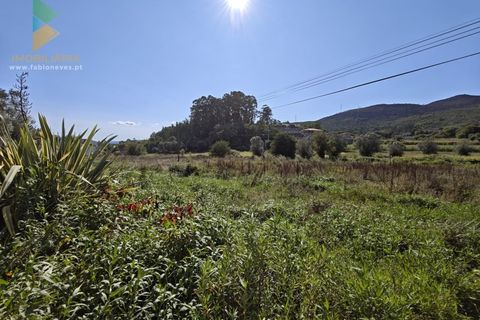 Villa i Ponte de Lima, Viana do Castelo, Ponte de Lima - € 165.000 | Ref: PTL-001-128 - foto 8
