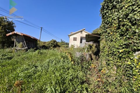 Villa i Ponte de Lima, Viana do Castelo, Ponte de Lima - € 165.000 | Ref: PTL-001-128 - foto 9