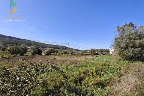 Villa i Ponte de Lima, Viana do Castelo, Ponte de Lima - € 165.000 | Ref: PTL-001-128 - foto 10