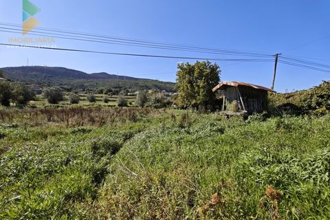 Villa i Ponte de Lima, Viana do Castelo, Ponte de Lima - € 165.000 | Ref: PTL-001-128 - foto 11