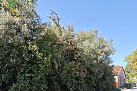 Villa i Ponte de Lima, Viana do Castelo, Ponte de Lima - € 165.000 | Ref: PTL-001-128 - foto 14