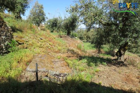 Villa i Serta, Castelo Branco, Serta - € 70.000 | Ref: AA326 - foto 16