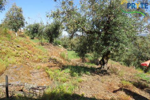 Villa i Serta, Castelo Branco, Serta - € 70.000 | Ref: AA326 - foto 17