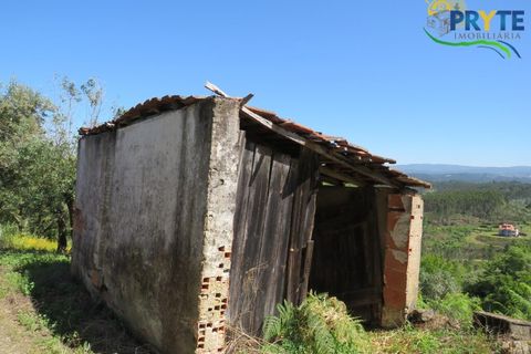 Villa i Serta, Castelo Branco, Serta - € 70.000 | Ref: AA326 - foto 20