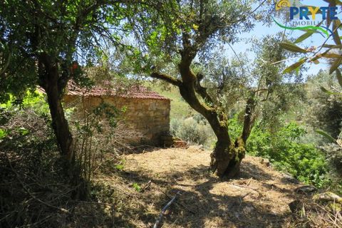 Villa i Serta, Castelo Branco, Serta - € 70.000 | Ref: AA326 - foto 48