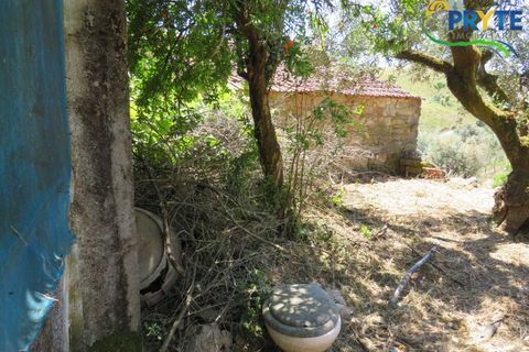 Villa i Serta, Castelo Branco, Serta - € 70.000 | Ref: AA326 - foto 49