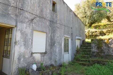 Villa i Serta, Castelo Branco, Serta - € 70.000 | Ref: AA326 - foto 50