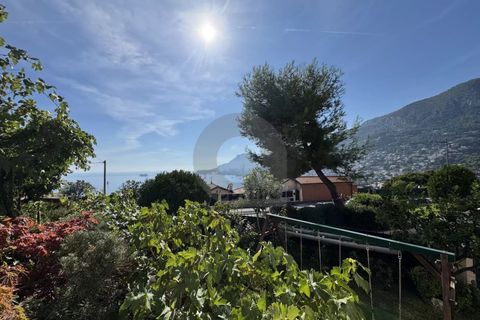 Villa i Roquebrune-Cap-Martin, Alpes-Maritimes, Roquebrune-Cap-Martin - € 1.007.000 | Ref: D15867 - foto 8