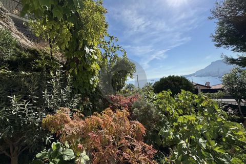 Villa i Roquebrune-Cap-Martin, Alpes-Maritimes, Roquebrune-Cap-Martin - € 1.007.000 | Ref: D15867 - foto 9