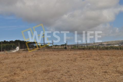 Helårsgrund i A dos Cunhados e Maceira, Lisbon, A dos Cunhados e Maceira - € 47.500 | Ref: 5809WT - foto 13