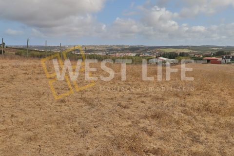 Helårsgrund i A dos Cunhados e Maceira, Lisbon, A dos Cunhados e Maceira - € 47.500 | Ref: 5809WT - foto 16