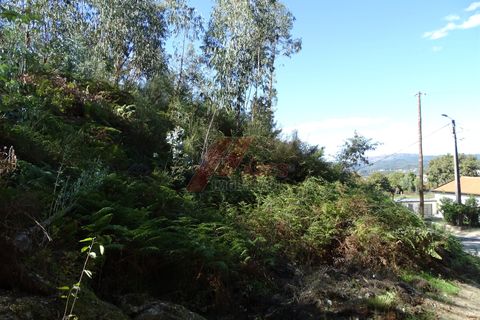 Helårsgrund i Fafe, Braga, Fafe - € 46.000 | Ref: 002-318 - foto 5