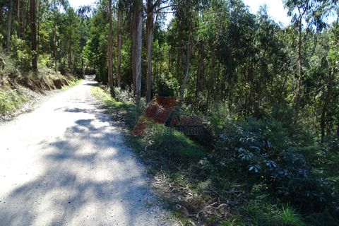 Helårsgrund i Fafe, Braga, Fafe - € 46.000 | Ref: 002-318 - foto 7
