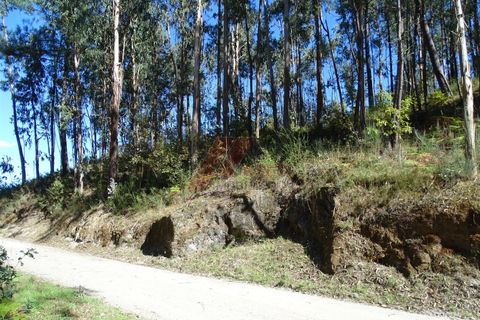 Helårsgrund i Fafe, Braga, Fafe - € 46.000 | Ref: 002-318 - foto 9