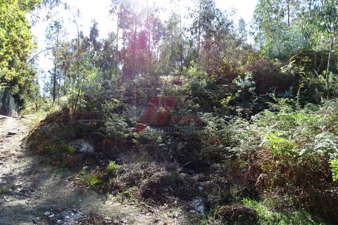 Helårsgrund i Fafe, Braga, Fafe - € 46.000 | Ref: 002-318 - foto 10