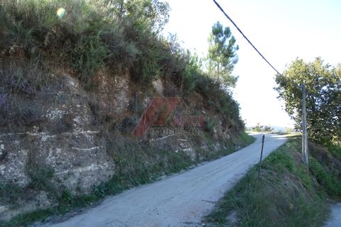 Helårsgrund i Fafe, Braga, Fafe - € 46.000 | Ref: 002-318 - foto 11