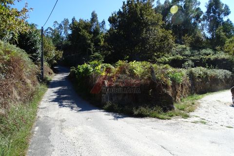 Helårsgrund i Fafe, Braga, Fafe - € 46.000 | Ref: 002-318 - foto 12