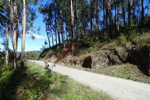 Helårsgrund i Fafe, Braga, Fafe - € 46.000 | Ref: 002-318 - foto 14
