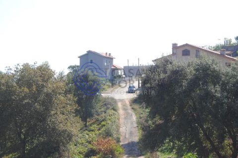 Helårsgrund i Gondomar, Porto, Gondomar - € 50.000 | Ref: 1111771 - foto 11