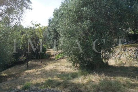 Helårsgrund i Chateauneuf-Grasse, Alpes-Maritimes, Chateauneuf-Grasse - € 420.000 | Ref: 2096 LZ - foto 3