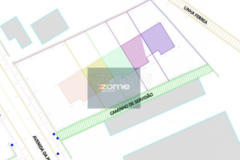 Terra a Areosa, Viana do Castelo, Areosa - € 750.000 | Ref: ZMPT581090 - foto 32