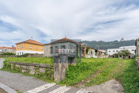 Terra a Areosa, Viana do Castelo, Areosa - € 750.000 | Ref: ZMPT581090 - foto 9