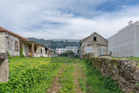 Terra a Areosa, Viana do Castelo, Areosa - € 750.000 | Ref: ZMPT581090 - foto 10