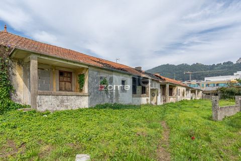 Terra a Areosa, Viana do Castelo, Areosa - € 750.000 | Ref: ZMPT581090 - foto 11