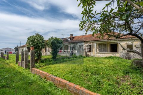 Terra a Areosa, Viana do Castelo, Areosa - € 750.000 | Ref: ZMPT581090 - foto 12