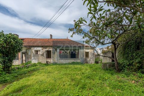 Terra a Areosa, Viana do Castelo, Areosa - € 750.000 | Ref: ZMPT581090 - foto 13
