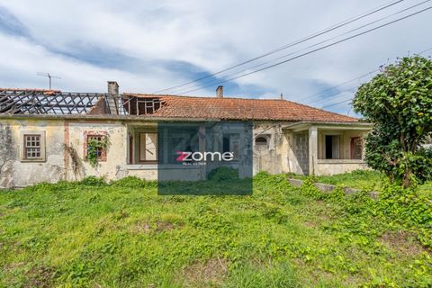 Terra a Areosa, Viana do Castelo, Areosa - € 750.000 | Ref: ZMPT581090 - foto 14