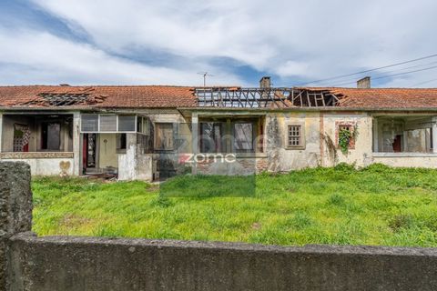 Terra a Areosa, Viana do Castelo, Areosa - € 750.000 | Ref: ZMPT581090 - foto 15