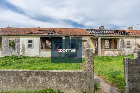 Terra a Areosa, Viana do Castelo, Areosa - € 750.000 | Ref: ZMPT581090 - foto 16