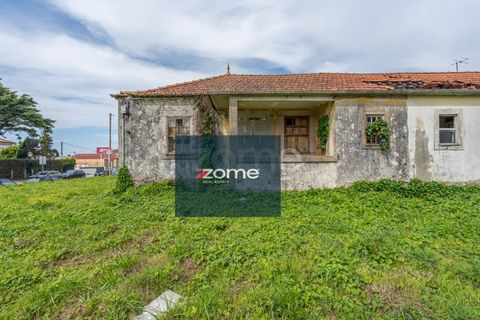 Terra a Areosa, Viana do Castelo, Areosa - € 750.000 | Ref: ZMPT581090 - foto 17