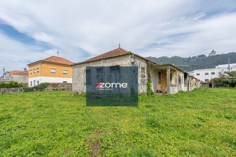 Terra a Areosa, Viana do Castelo, Areosa - € 750.000 | Ref: ZMPT581090 - foto 18