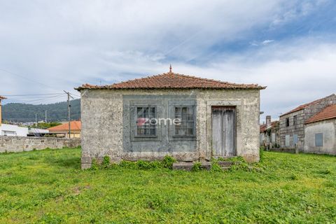 Terra a Areosa, Viana do Castelo, Areosa - € 750.000 | Ref: ZMPT581090 - foto 19