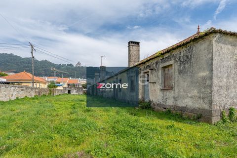 Terra a Areosa, Viana do Castelo, Areosa - € 750.000 | Ref: ZMPT581090 - foto 20