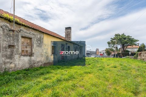 Terra a Areosa, Viana do Castelo, Areosa - € 750.000 | Ref: ZMPT581090 - foto 21