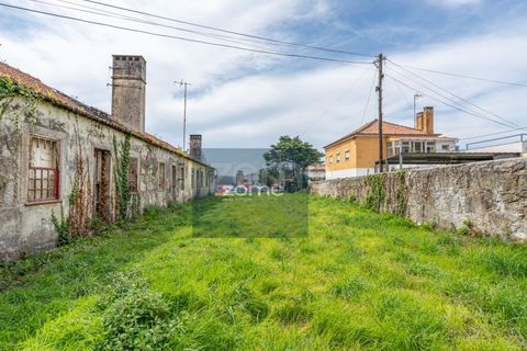 Terra a Areosa, Viana do Castelo, Areosa - € 750.000 | Ref: ZMPT581090 - foto 22