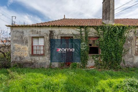 Terra a Areosa, Viana do Castelo, Areosa - € 750.000 | Ref: ZMPT581090 - foto 23
