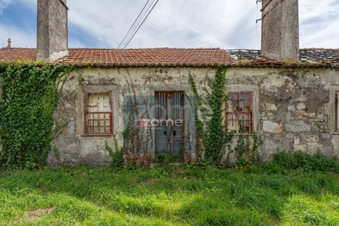 Terra a Areosa, Viana do Castelo, Areosa - € 750.000 | Ref: ZMPT581090 - foto 24