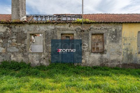 Terra a Areosa, Viana do Castelo, Areosa - € 750.000 | Ref: ZMPT581090 - foto 25